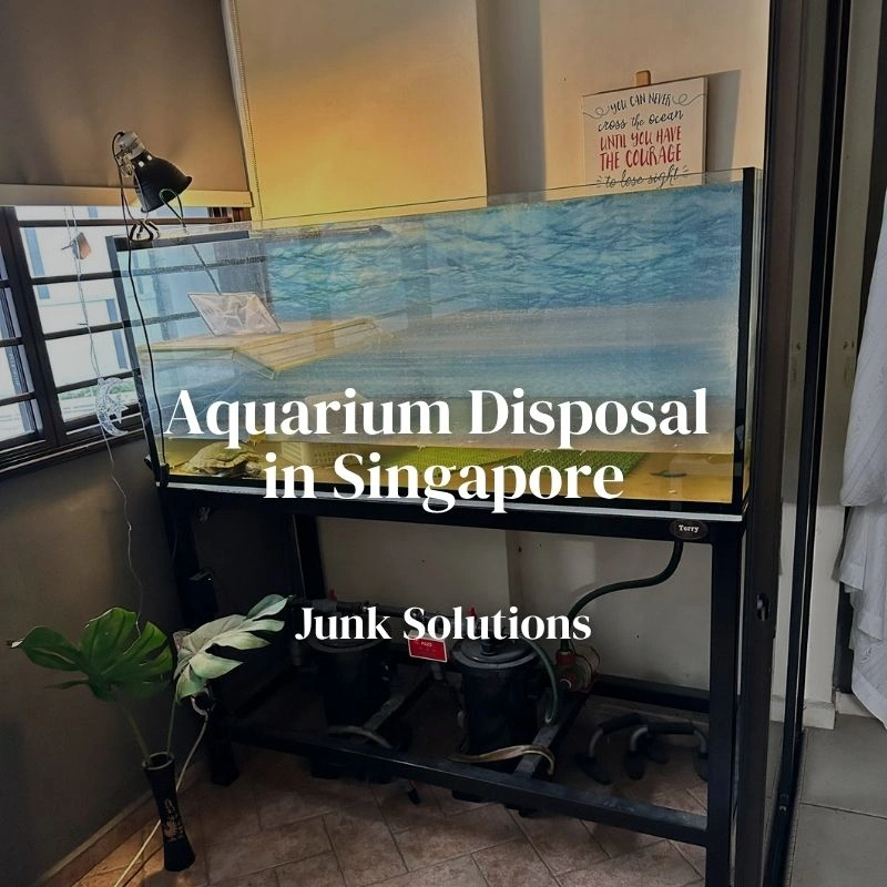 Aquarium Disposal in Singapore: Safe and Hassle Free Removal Guide